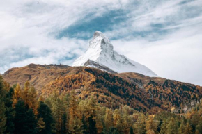 Matterhorn & Forest View Apartment